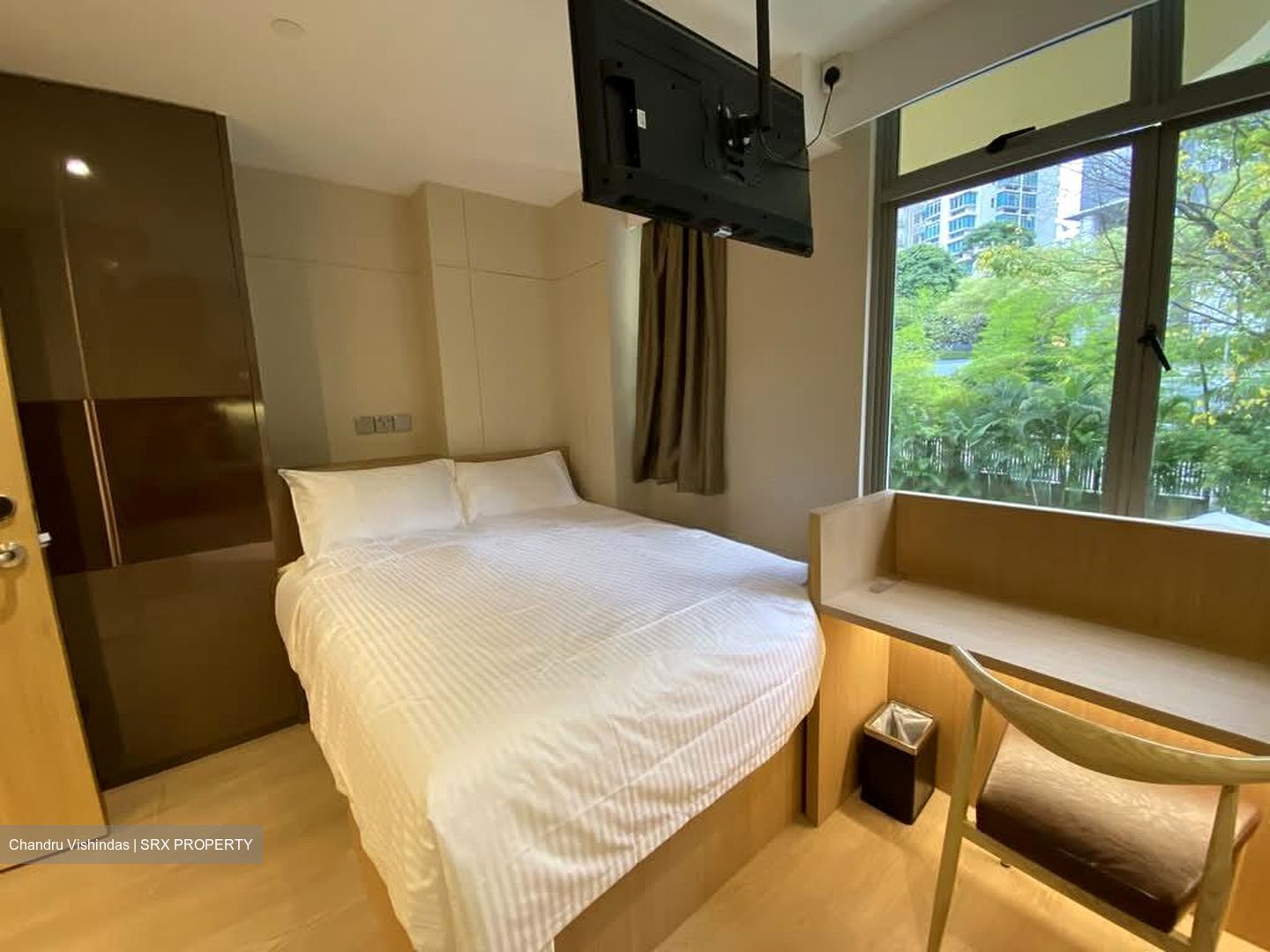 Mount Elizabeth Link (D9), Condominium #585130651
